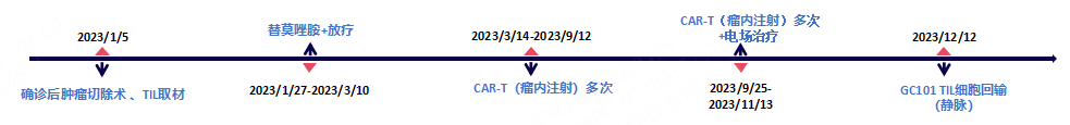4周肿瘤清零！中国研发全球首款脑瘤TIL疗法获批Ⅱ期临床，无瘤生存超29个月