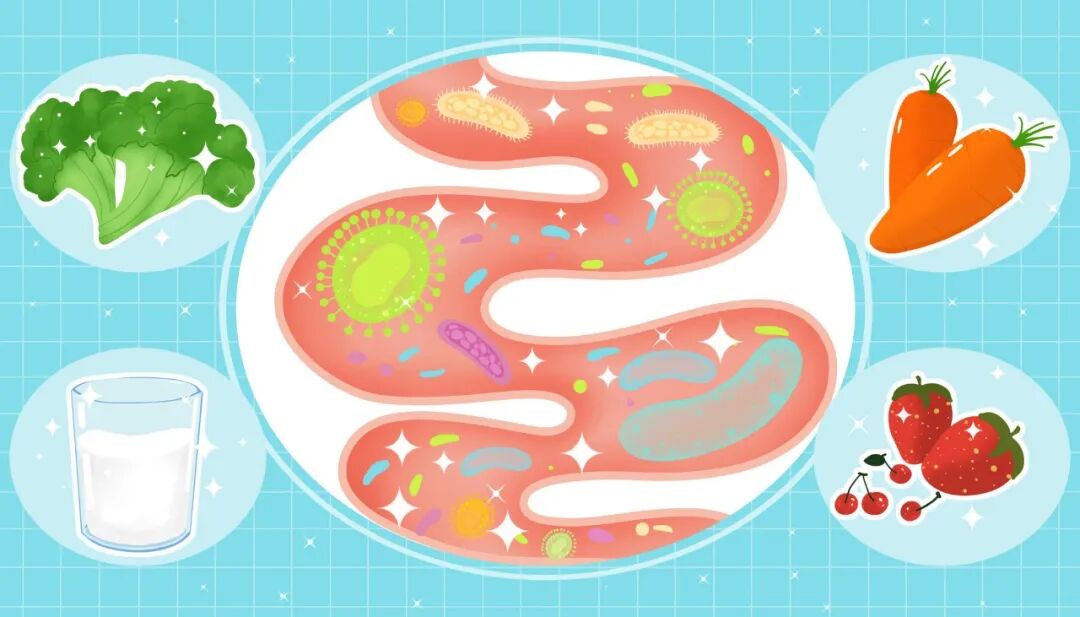 结直肠癌术后恢复有“良方”！益生菌让肠道功能快恢复、感染风险大降
