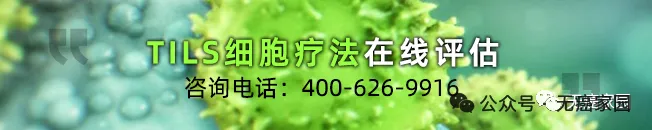 从28天到12天，中国速度！国产TIL疗法攻克实体瘤的颠覆性突破！