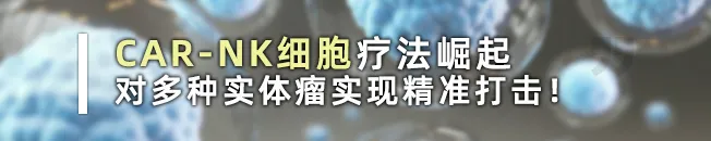 实锤了！NK细胞疗法精准狙杀转移癌，超80%肿瘤患者病灶显著缩小