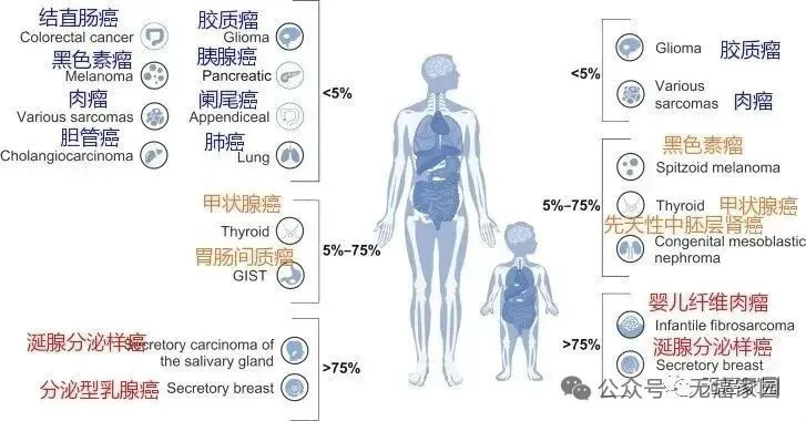 不限癌种！胶质瘤、甲状腺癌、唾液腺癌等有救了！国研靶向药TL118招募中，成人儿童均可用！