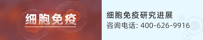 67%患者完全缓解！“智能”现货型CAR-NK疗法重拳出击，横扫胰腺癌、肺癌、结直肠癌等！