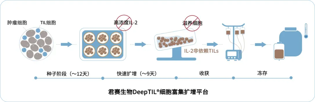 67%客观缓解率！新一代工程化TIL疗法进入“可遥控“时代，拯救耐药癌症患者