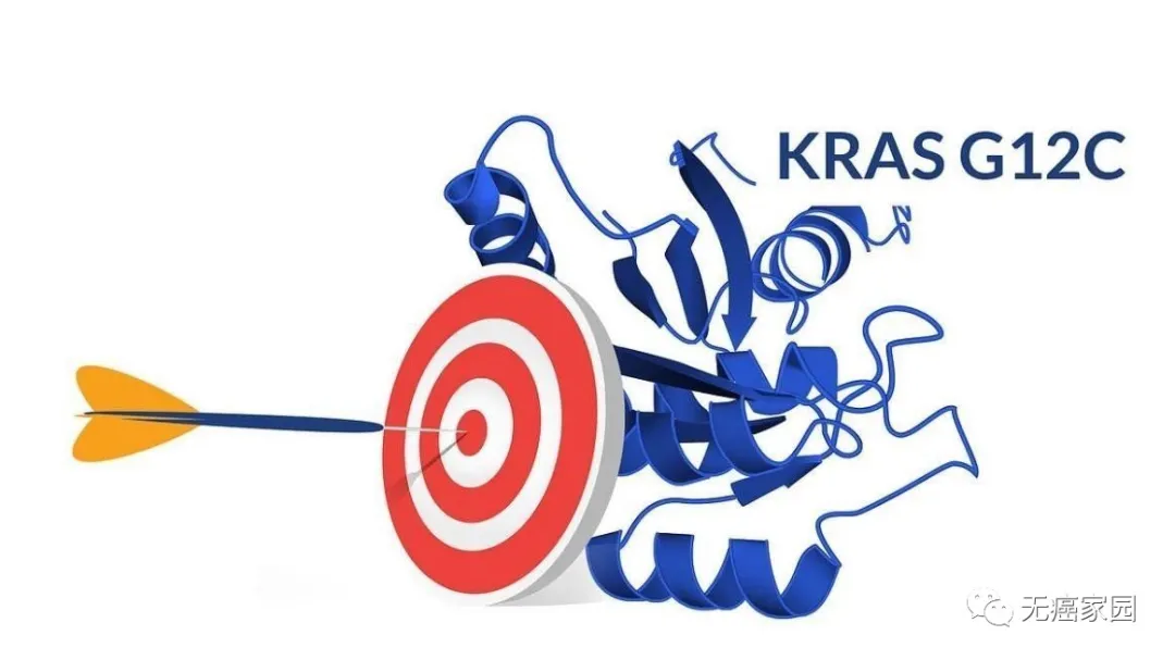 晚期实体瘤新选择！瞄准KRAS G12C的国产“强强联合”疗法来了！