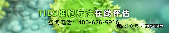 一例肿瘤完全消失！疾病控制率超九成，国研TIL细胞疗法对抗“红颜杀手”宫颈癌战绩惊人！