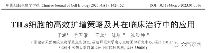 超11年无癌生存！TIL联合DC细胞强强联合为晚期黑色素瘤患者带来“临床治愈”新希望！