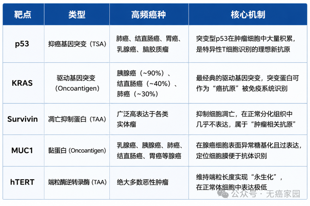 术后怕复发怎么办？覆盖90%实体瘤的DC疫苗有多强？五大靶点围剿，肝癌胰腺癌等临床数据亮眼！