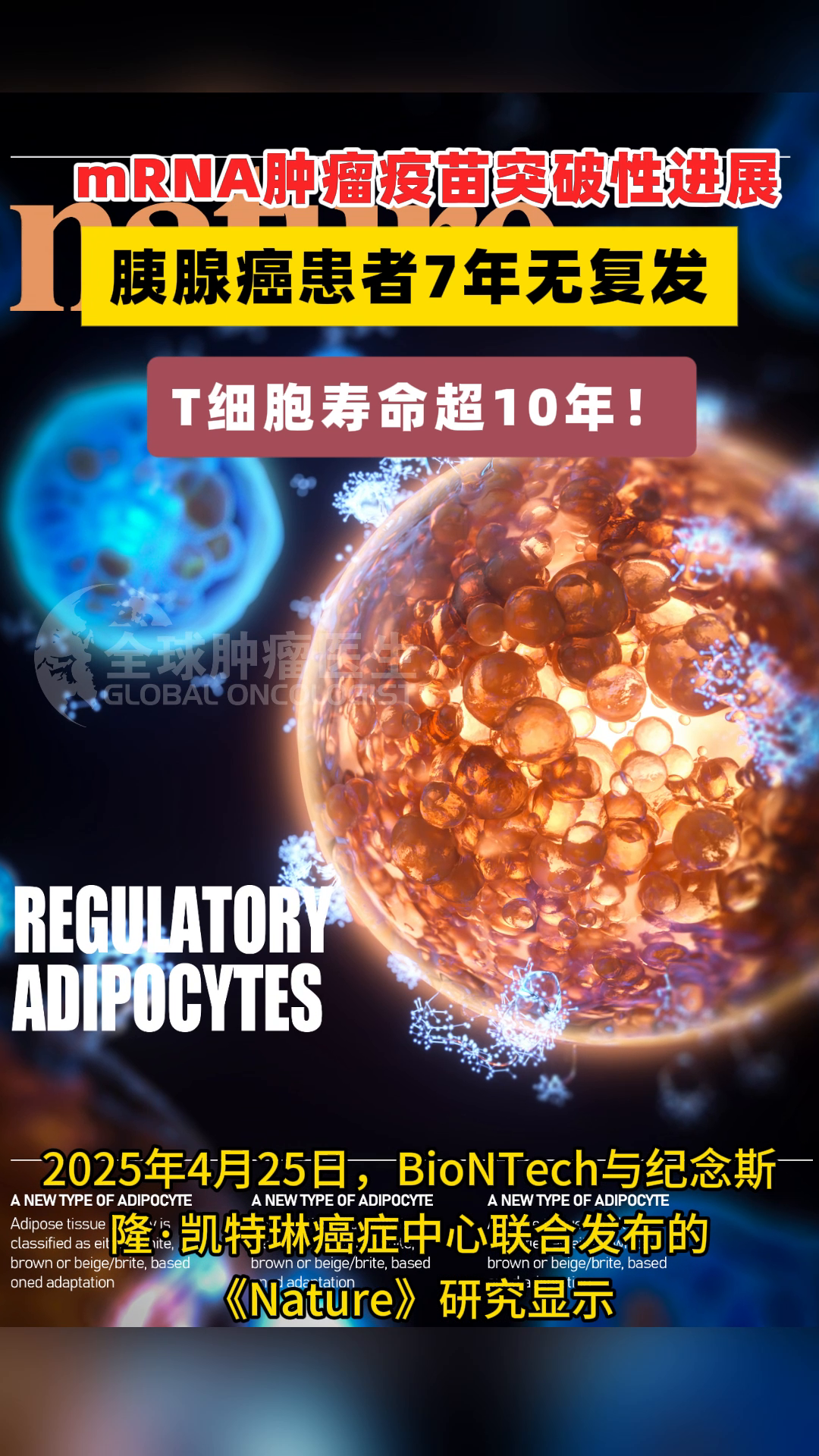 mRNA肿瘤疫苗突破性进展：胰腺癌患者7年无复发，T细胞寿命超10年！